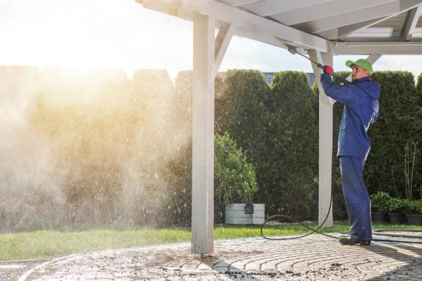 Best Soft Washing  in Montgomery, IN